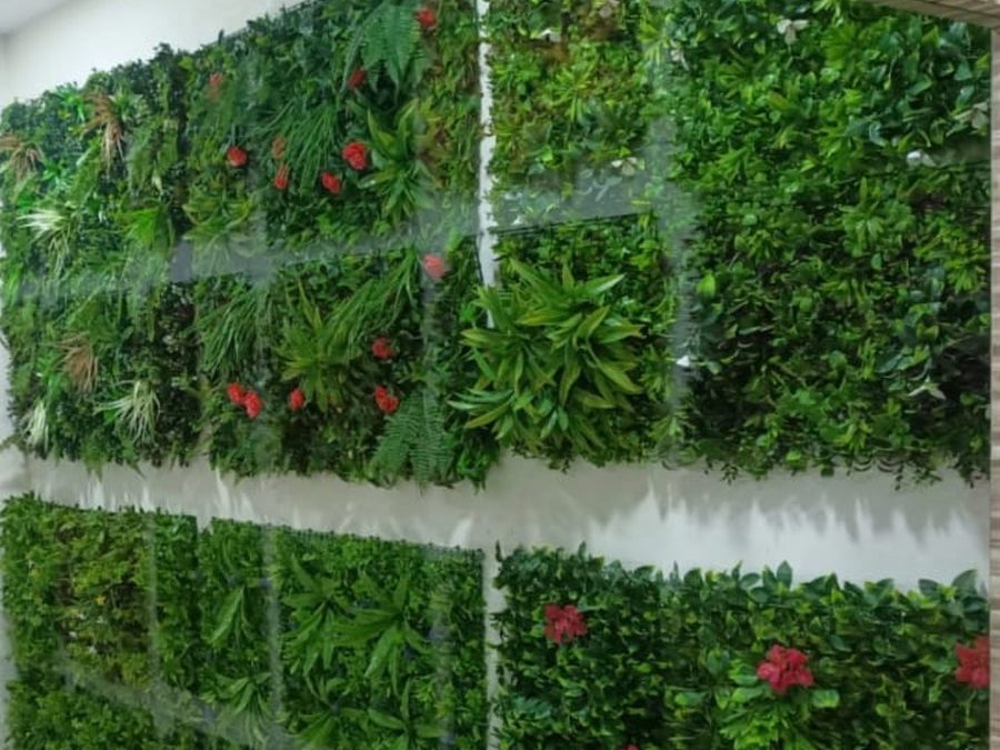 Artificial green wall, reception — Royal Decor, Vesu, Surat
